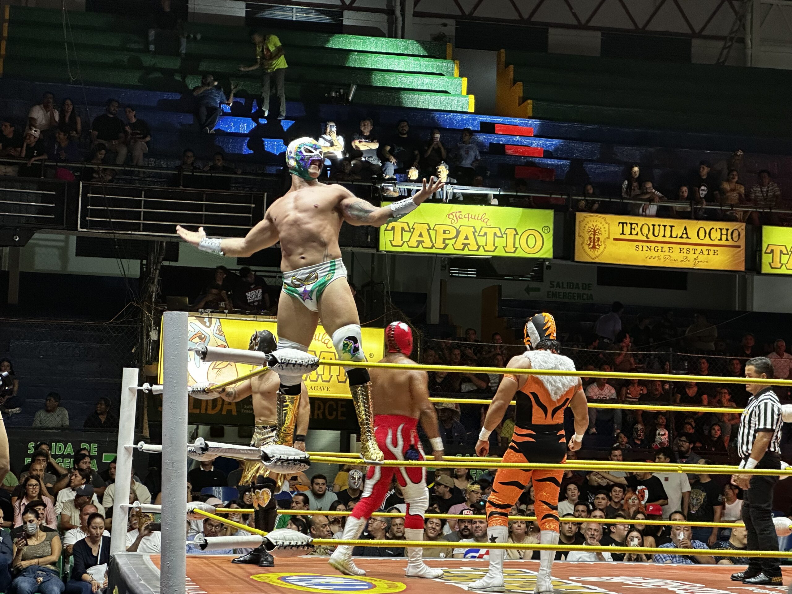 Notes From a Fever Dream: Mexico Month Part 4